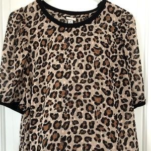 A new day leopard sheer blouse